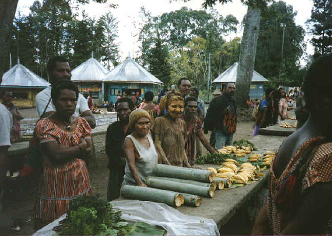 newguinea101.jpg (312681 bytes)