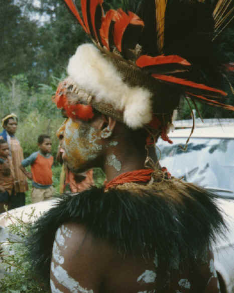 newguinea106.jpg (209343 bytes)