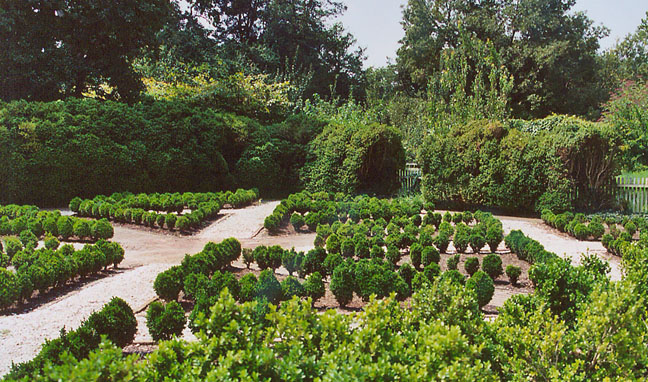 Colonial Williamsburg Gardens