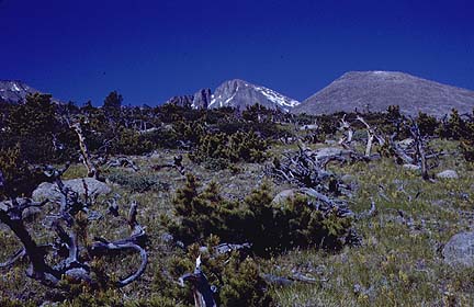 longspeak.jpg (66796 bytes)