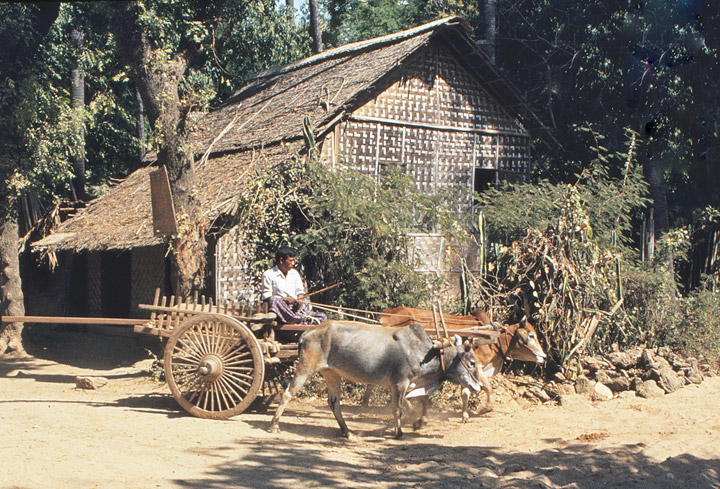 Burma Villages