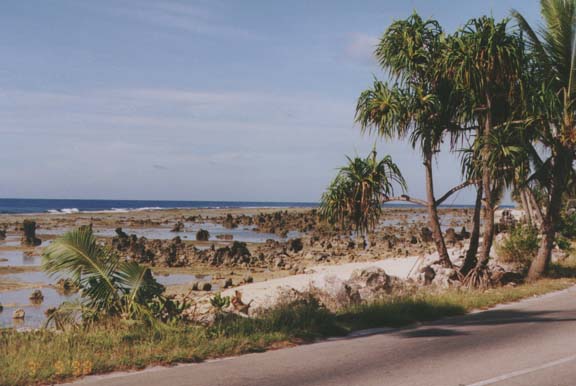 nauru07.jpg (69670 bytes)