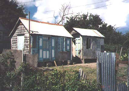 nevis2.jpg (65691 bytes)