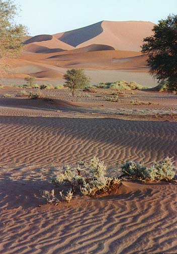 sanddunes1.jpg (73463 bytes)