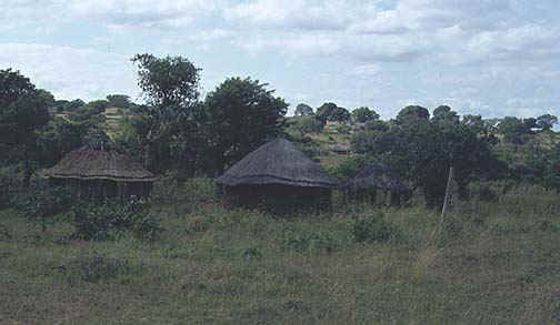 swaziland2.jpg (53209 bytes)