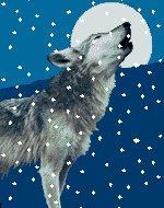 WOLFSNOWKCP.GIF (21968 bytes)