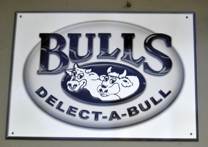 Bulls Nz