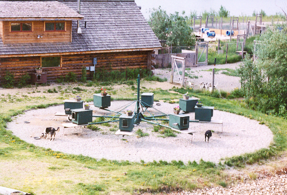 Sled Dog Houses