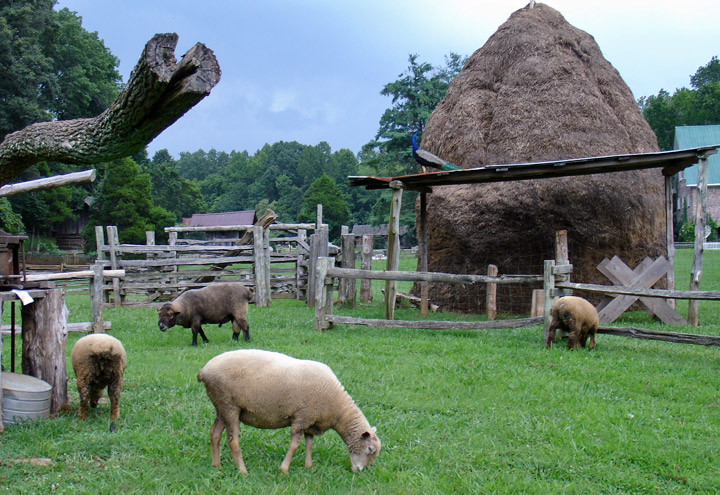 Appalachian Farm